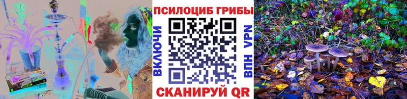Псилоцибиновые грибы Psilocybine cubensis  MEGA   Дубовка 